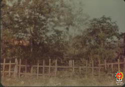 Tanah-tanah penduduk yang terkena proyek irigasi sebelum proyek dimulai.