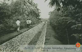 K.21-K.26. Saluran sekunder Kongklangan kondisi 100%. Tampak saluran sekunder Kongklangan yang te...