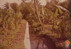 Tampak saluran air di pinggir sawah sebelum proyek irigasi dikerjakan (0%).