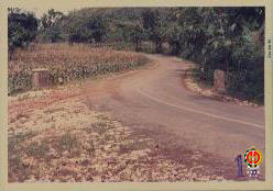 Keadaan jalan sebelum dibangun gorong-gorong (0%).