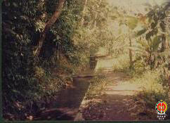 Tampak saluran irigasi yang hendak diperbaiki telah dibersihkan.