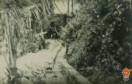 Proyek Inpres 4/1980/1981 Kab. Dati II Gunung Kidul. Pekerjaan pembuatan talud Saluran Selonjono....