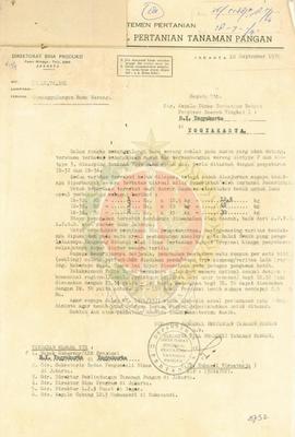 penanggulangan hama wereng pada tanaman padi di DIY.